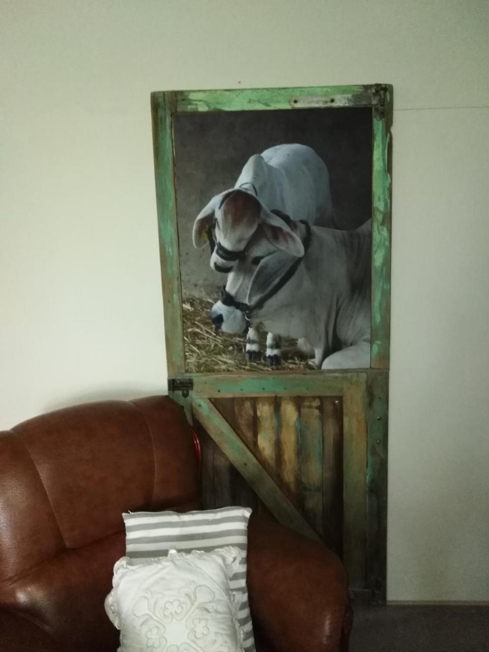 Die Windpomp Guesthouse Gobabis 外观 照片